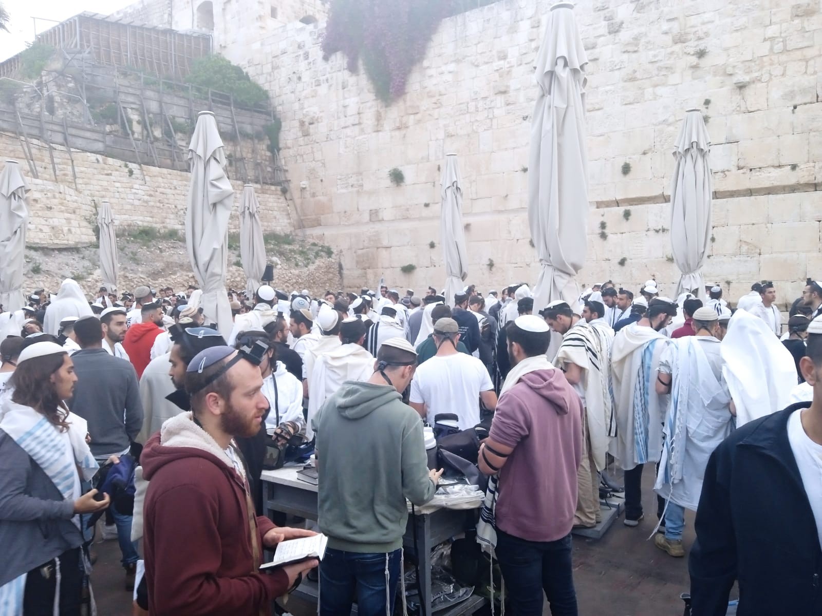 ח"כ מעוז הפעיל לחץ - ומאות התפללו ברחבה הדרומית כהלכה