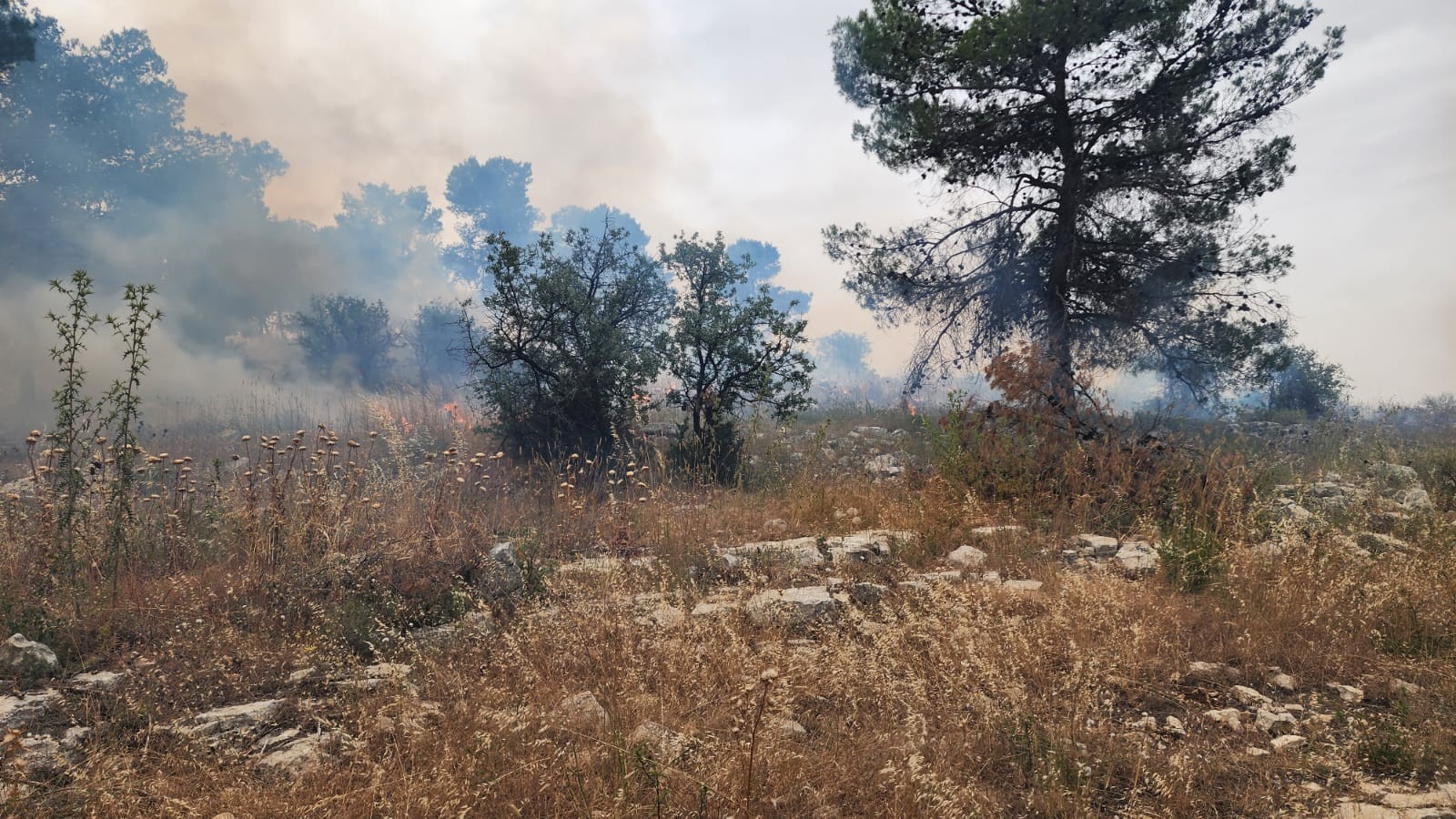 פיגוע בדרום הר חברון, ו-176 שריפות ברחבי הארץ | סיכום חדשות השבת והחג