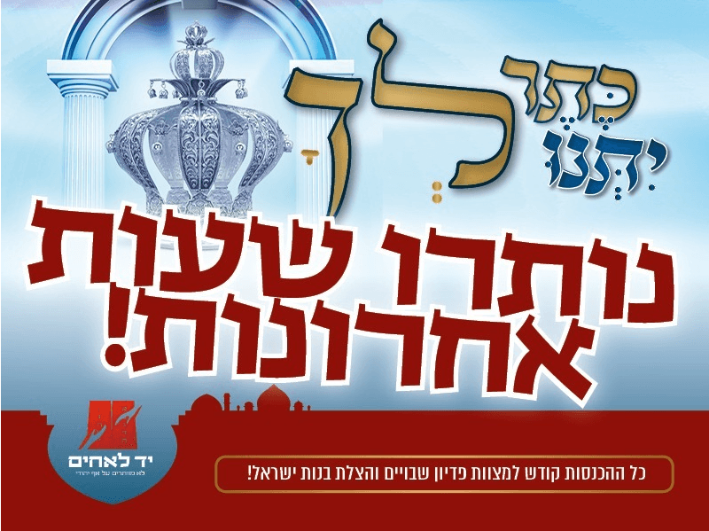36 שעות להגרלה ההיסטרית - ספר התורה של יד לאחים