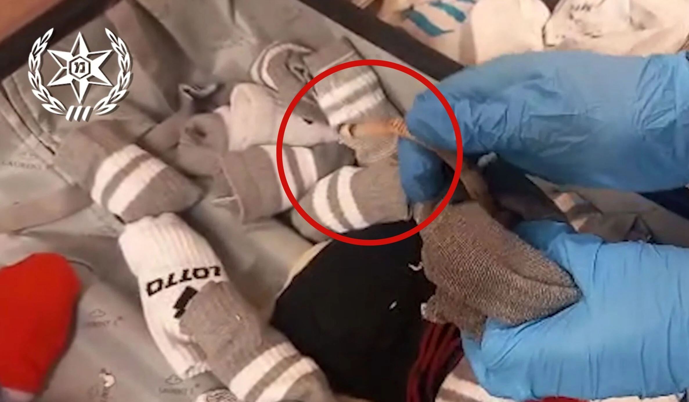 נחש אנקונדה בנתב"ג: תושבת ר"ג נעצרה בחשד להברחת עשרות זוחלים | תיעוד