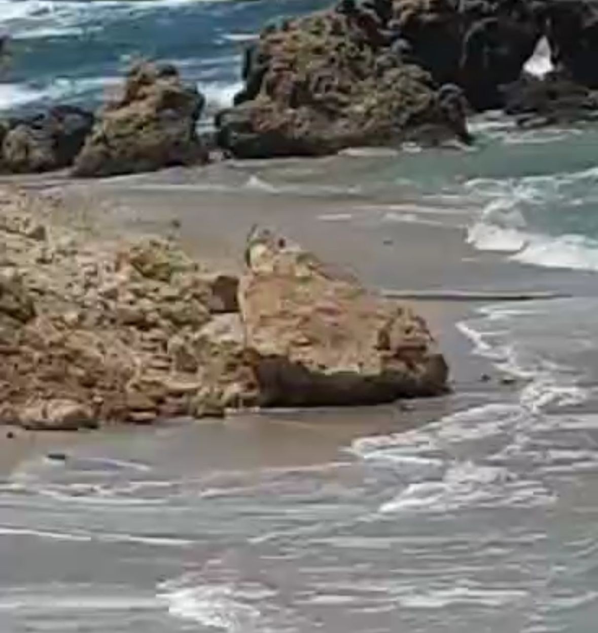 סכנה: מצוק קרס בחוף הים בחדרה - אין נפגעים | תיעוד