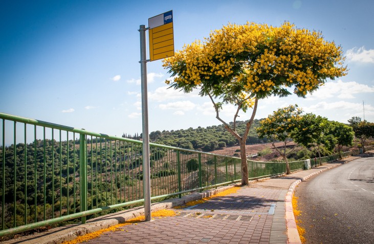 המועצה האזורית גוש עציון נגד משרד התחבורה: לקראת תביעה חריגה?