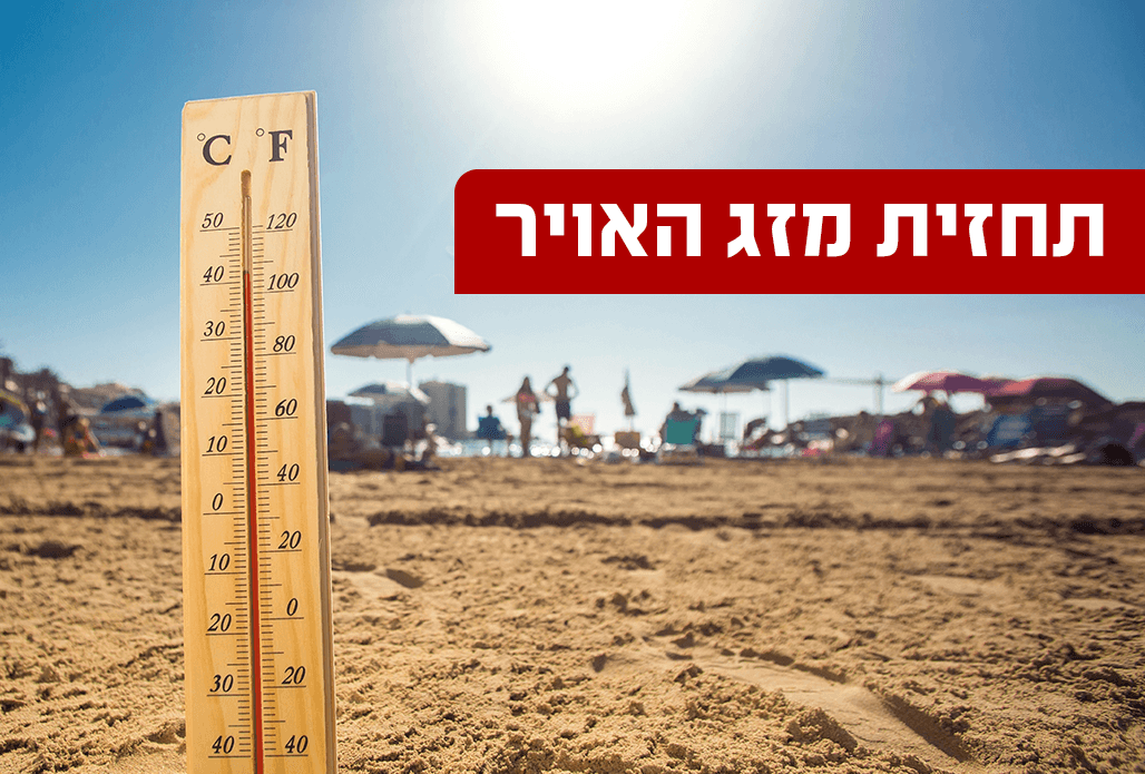 צילום: שאטרסטוק
