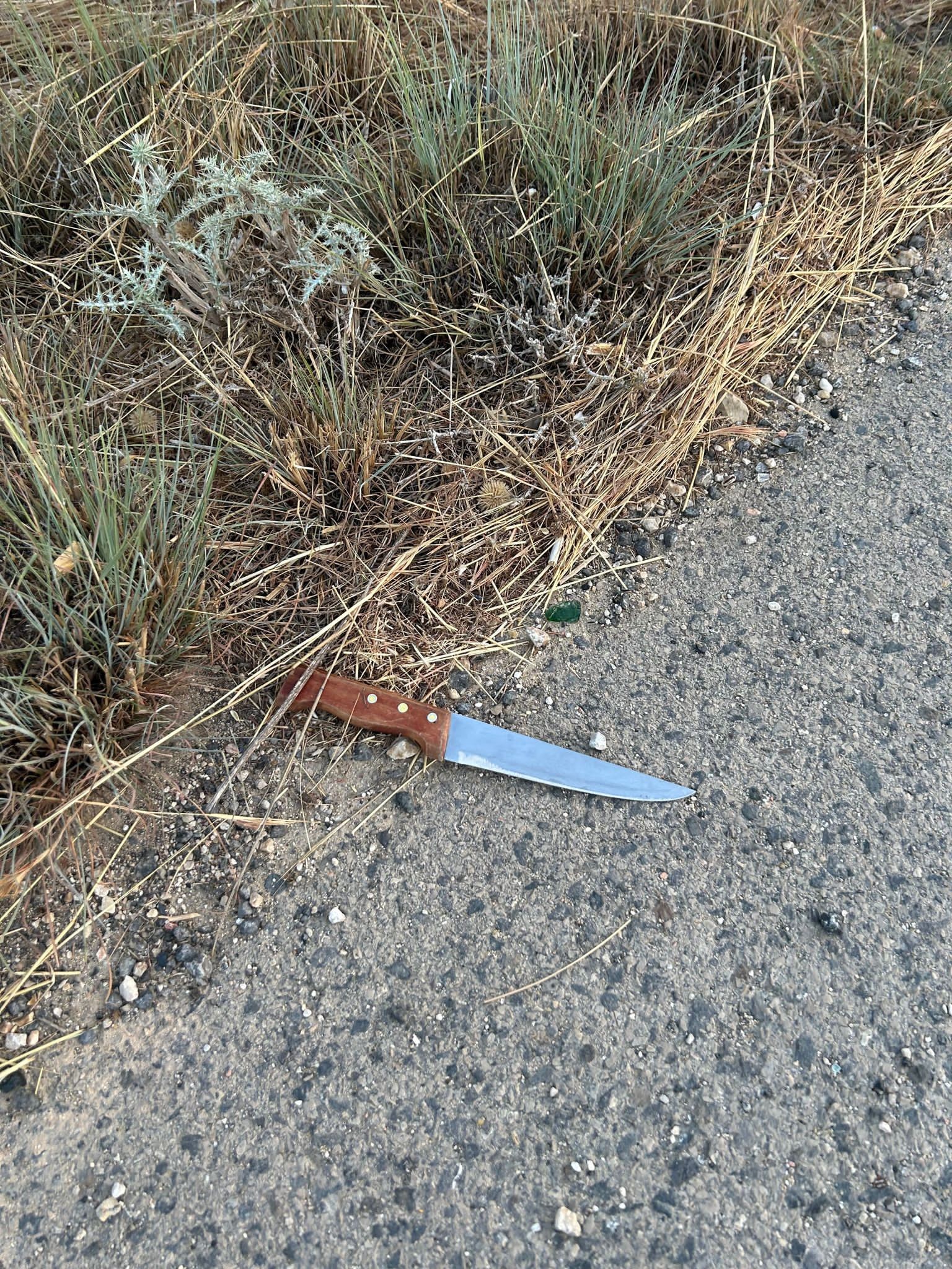 טרור גורר טרור: קצינה ונהג תחקרו חשוד שהוציא לעברם סכין - וחוסל
