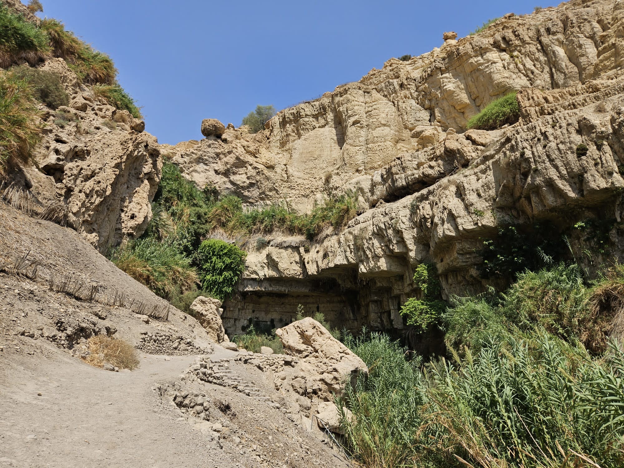 שמורת הטבע עין גדי אחרי מפולת הסלעים 
 צילום: דוברות רט"ג
