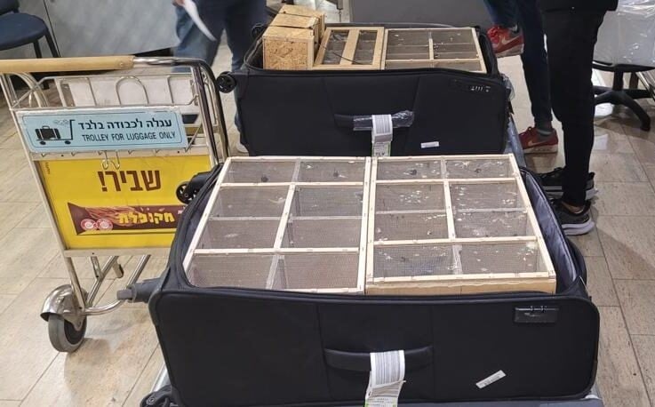 תיעוד מקומם: תושב המרכז נתפס בנתב"ג - זה מה שניסה להבריח