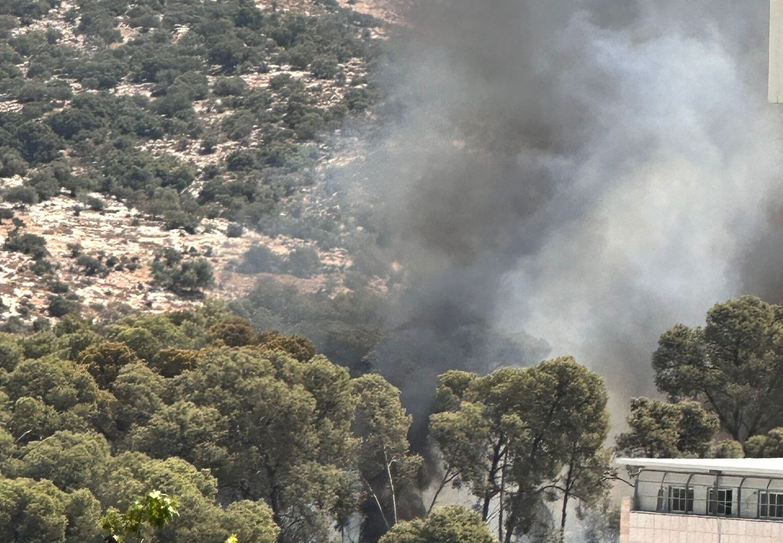 תיעוד השריפה ביער זנוח | קרדיט: בית שמש ידיעות