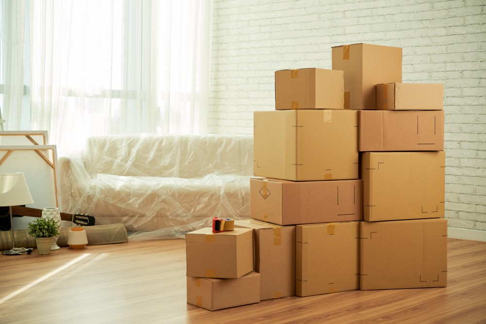 האתר המוביל הגדול ביותר אורזים הובלות