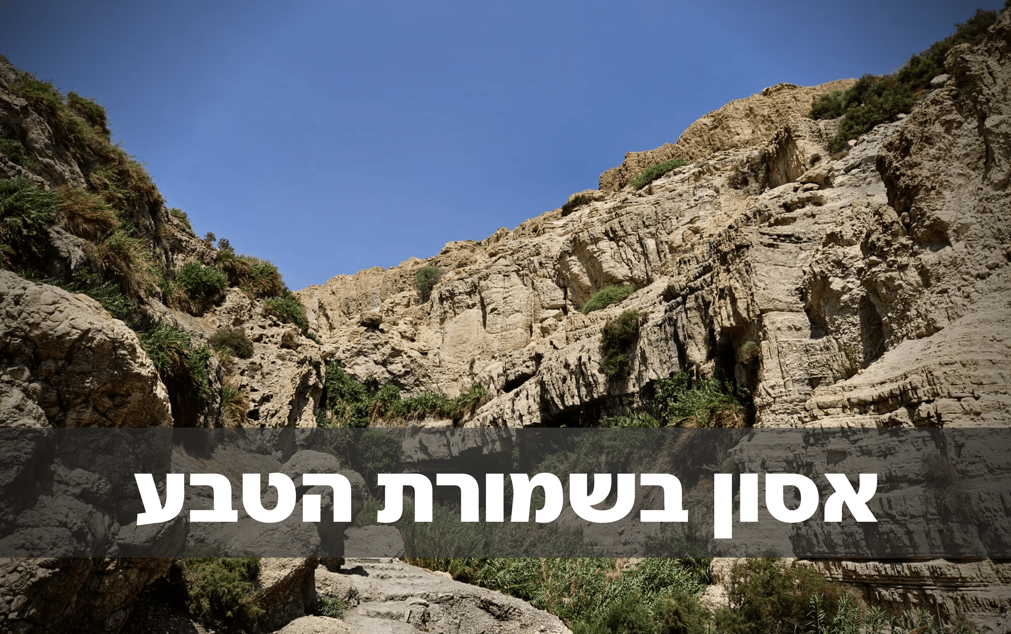 "ראינו סלעים גדולים נופלים, הכל קרה תוך שבריר שנייה"