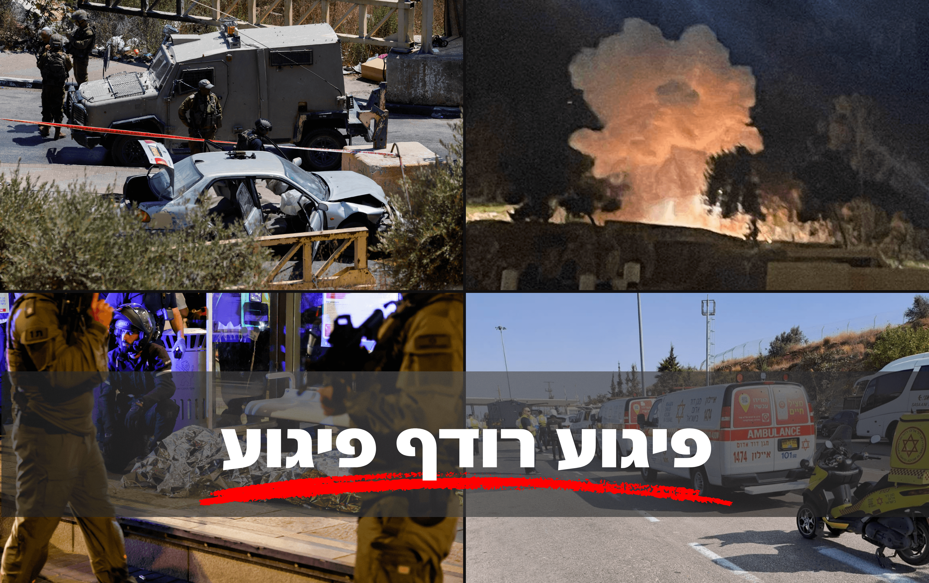 יממה מדממת של טרור: דריסה, דקירה, אבנים - ומטעני חבלה