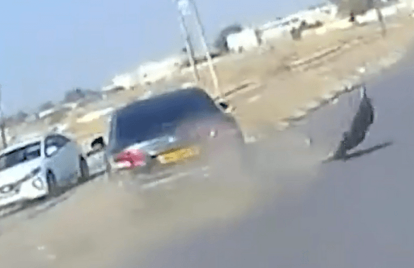 החשוד נמלט מהמשטרה | קרדיט: דוברות המשטרה, צילום מסך
