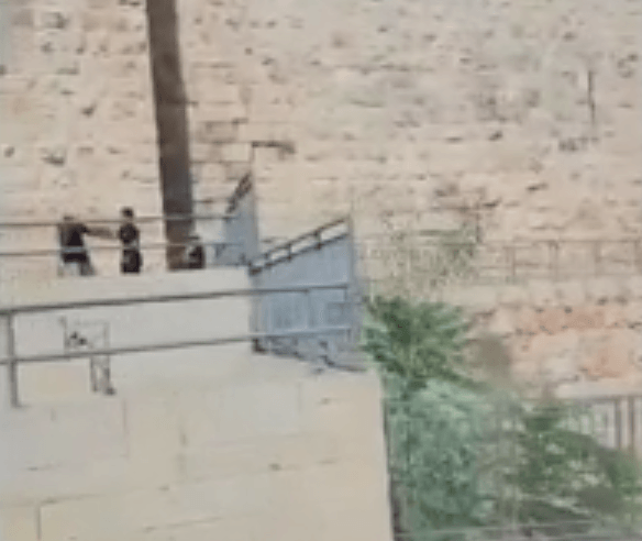 קשה לצפייה: תיעוד רגעי הפיגוע בשער יפו בירושלים