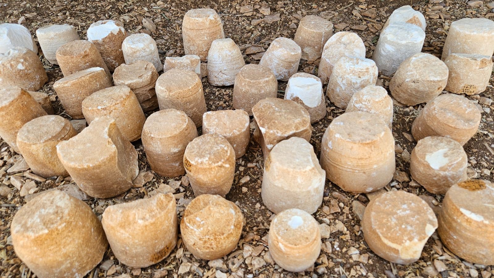 תגלית היסטורית נדירה מימי בית שני נחשפה בבנימין