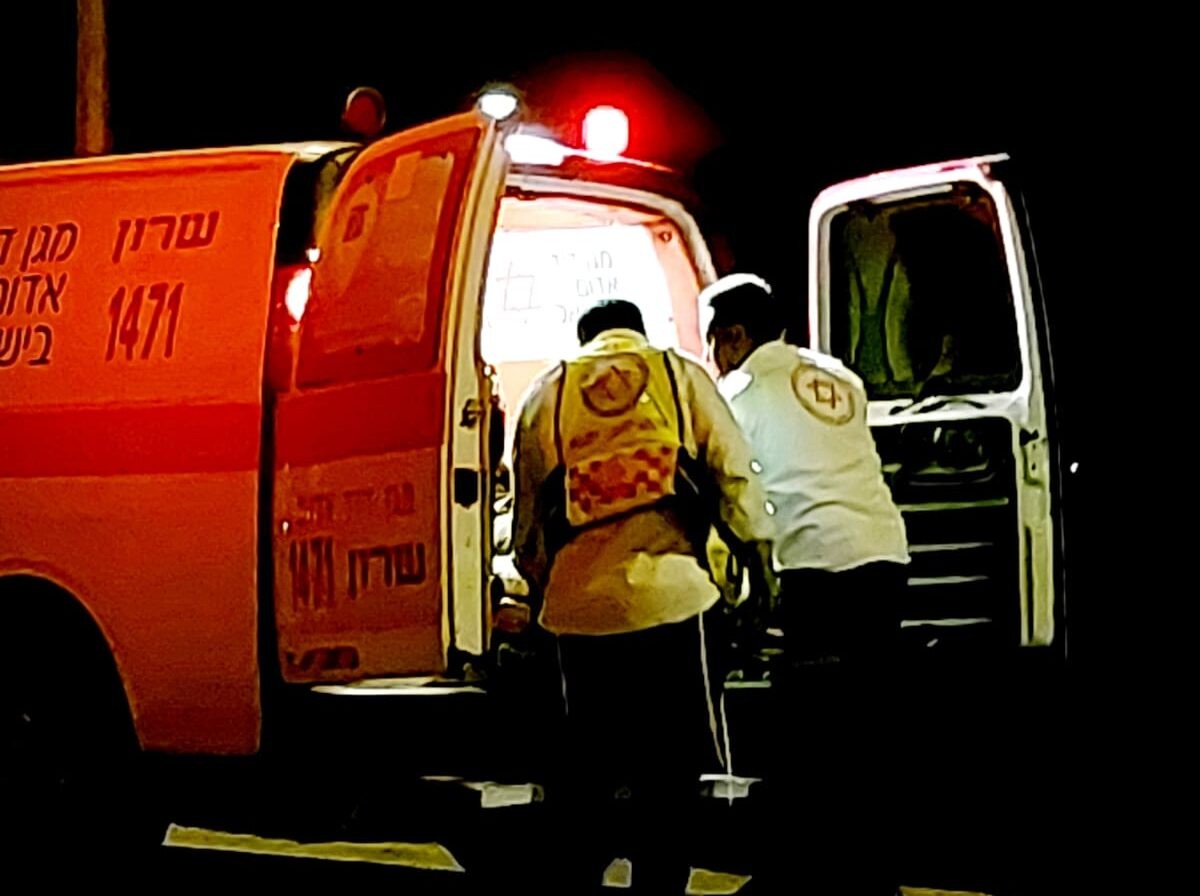 קיבוץ העוגן: בן 48 הוכש על ידי נחש - מצבו קשה