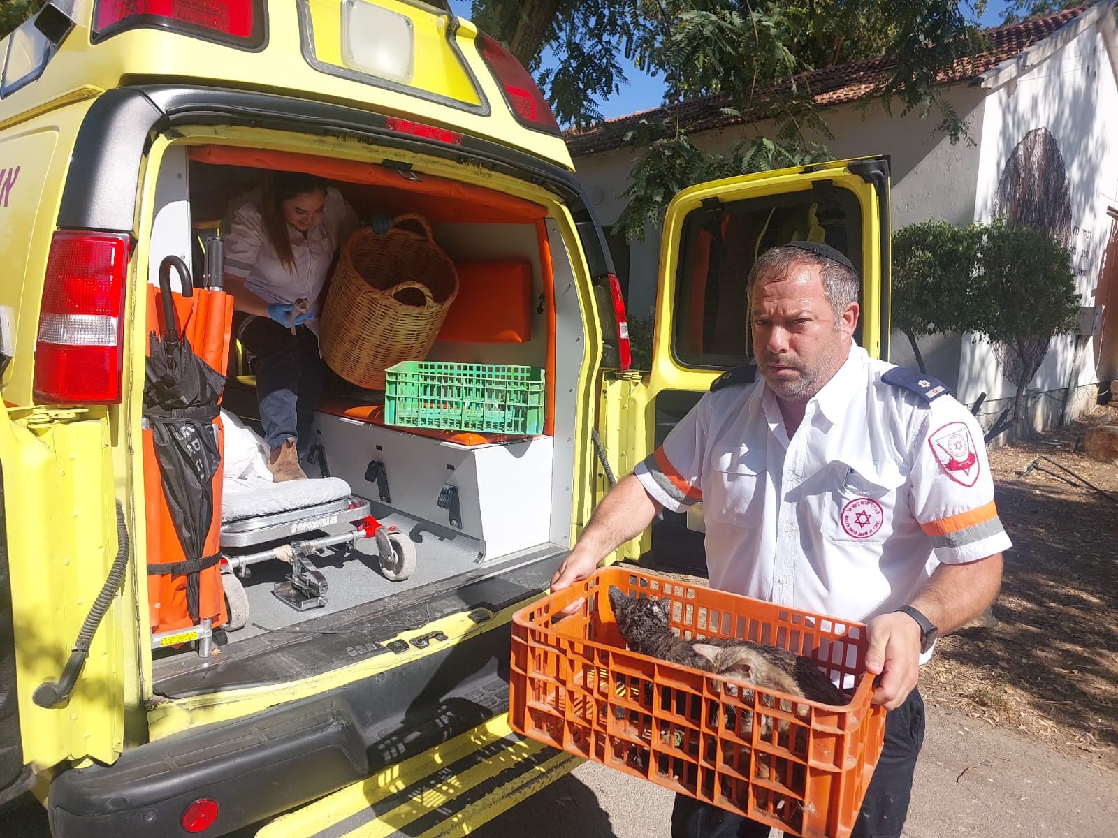 לא משאירים אף אחד מאחור: חילוץ של 9 חתולים משריפה בבית