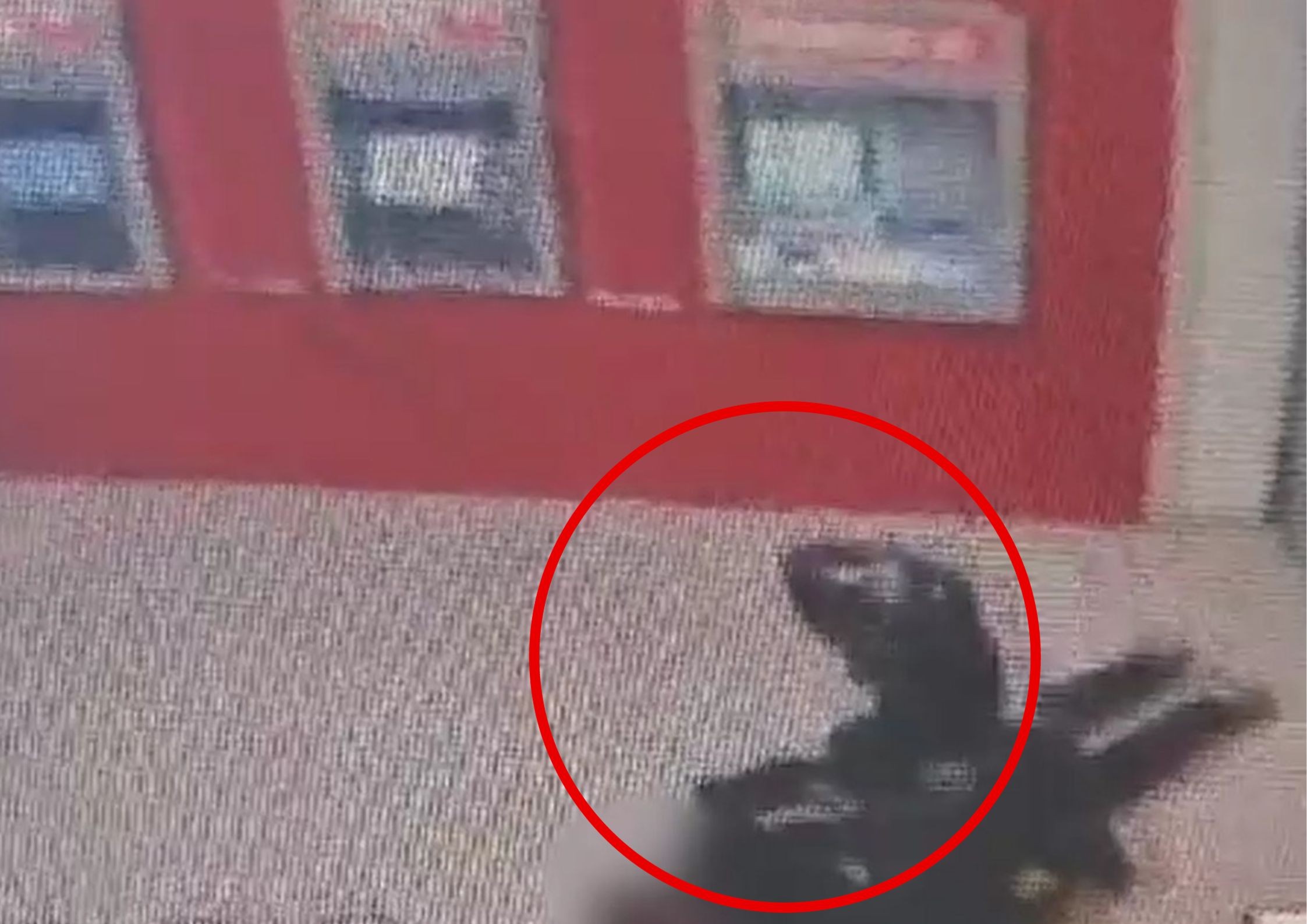 בהיקף מאות אלפי שקלים: תושבי רומניה נעצרו בחשד להונאת ענק