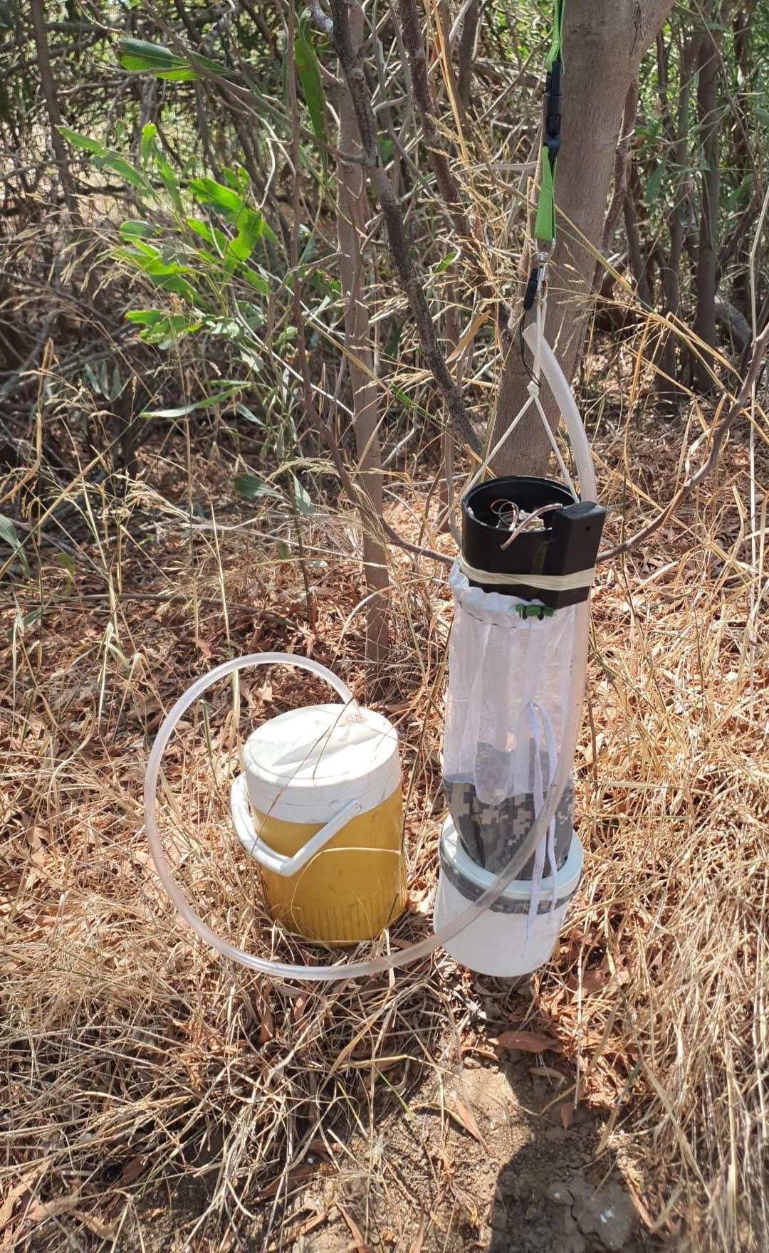 בעקבות התפרצות קדחת הנילוס: הרשויות נערכות לצעדי חירום