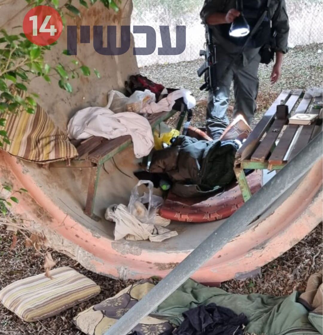 קרדיט צילום: חדשות 14