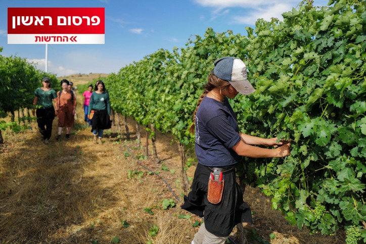 פרסום ראשון: הכלי האפקטיבי החדש נגד הפשיעה החקלאית