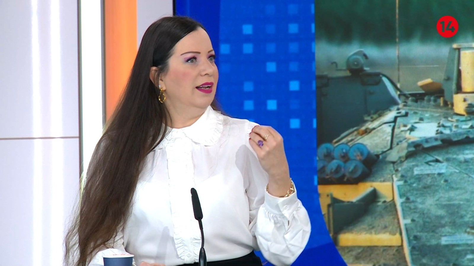 חברת הכנסת טלי גוטליב בחדשות 14 | צילום מסך