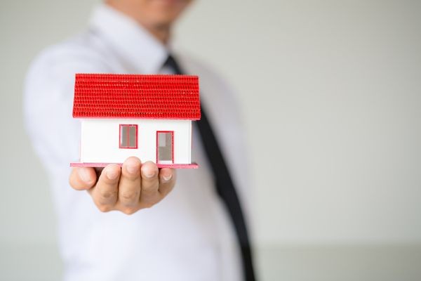 חשיבות הממד בישראל: כל מה שחשוב לדעת