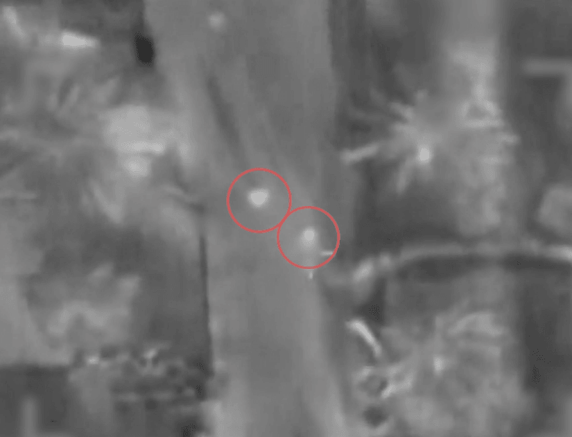מחבלים שהשתתפו בטבח ב-7 באוקטובר חוסלו בשטח הרצועה