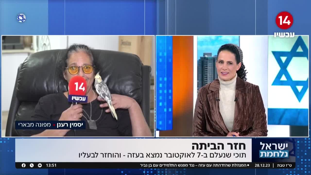 תוכי שנעלם בשבעה באוקטובר נמצא בעזה והוחזר לבעליו