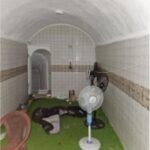 העדות המטלטלת של עמית סוסנה: עברתי התעללות מינית בשבי חמאס