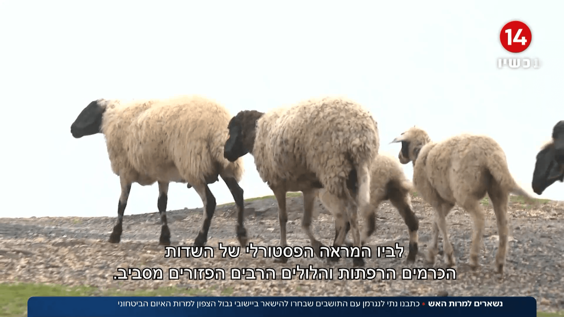 תושבי הצפון: "לא מפחדים מנסראללה, מפחדים מהבירוקרטיה"