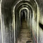 הנשיא טראמפ: בעזה יש רק 21 חטופים חיים