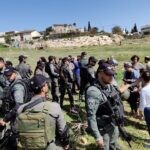 "מציעה שתתפטר": במשמרת של סמוטריץ' – עקירת עצים בנוקדים