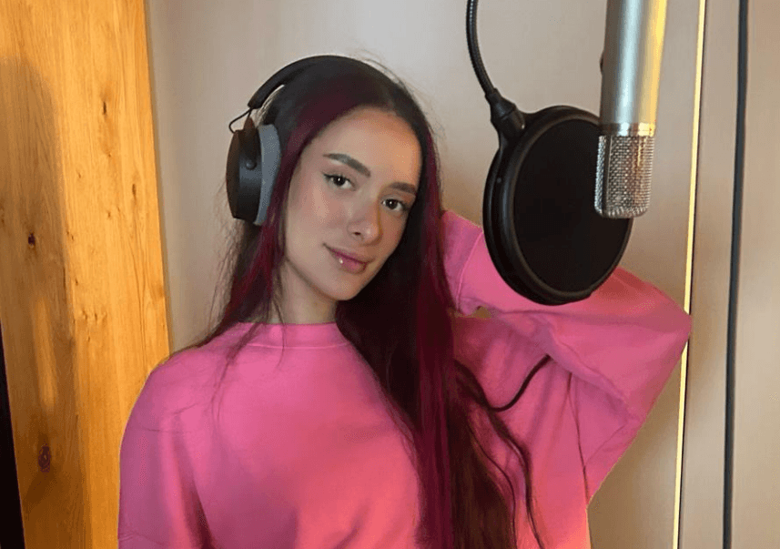 השיר הישראלי לאירוויזיון הודלף ע"י פרו-פלשתינים? | האזינו