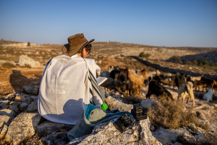 במימון המדינה: סרט על 'אלימות המתנחלים' יוקרן מחר בתל אביב