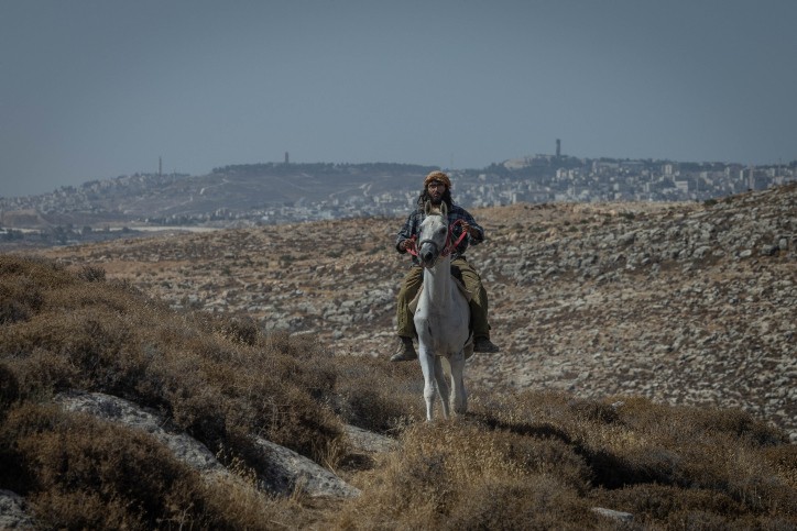 חלוצי הגבעות שבולמים את ההשתלטות הפלשתינית ביו"ש