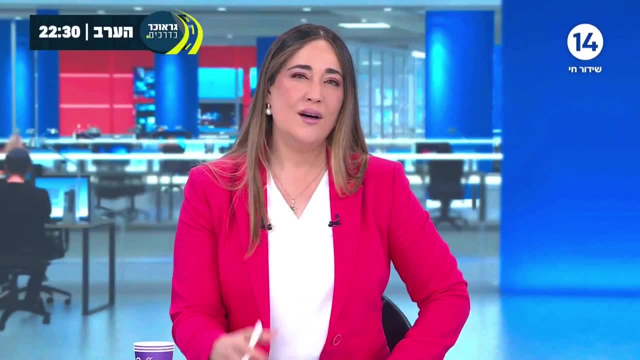 "יש לי בחילה": דנה ורון על מחבל הנוחבה שאושפז בביה"ח ישראלי
