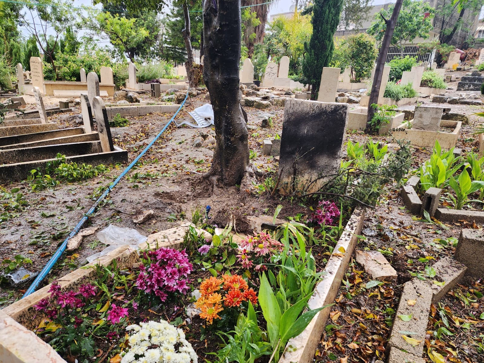 5 פצועים בפיצוץ בבית עלמין: "הגיעו לקברו של בן משפחה שנרצח"