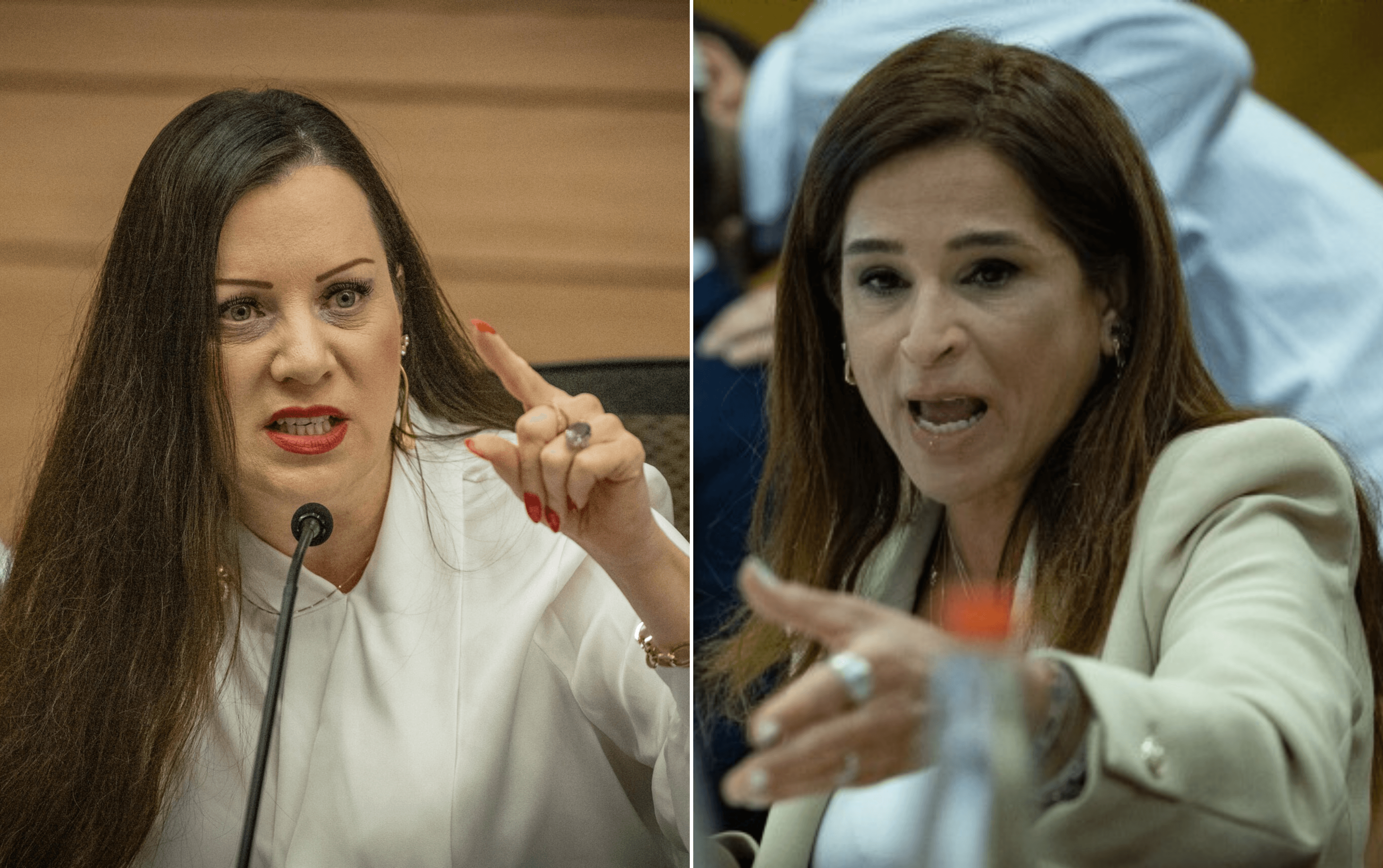 "בברבריות של ערסית": גוטליב תקפה את בן ארי, טיבי התערב