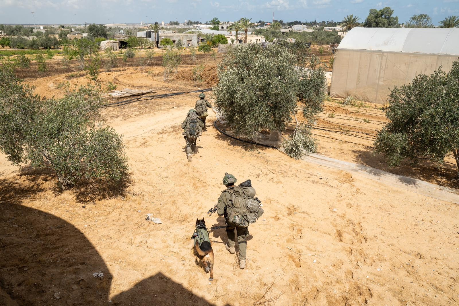 מחבלים חמושים מארגוני הטרור חמאס וגא"פ נתפסו במבצע ברפיח