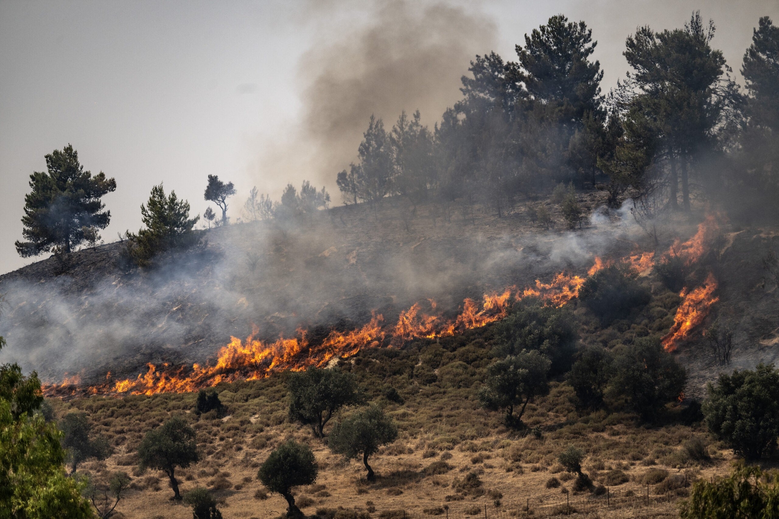 שריפות בצפון כתוצאה מירי טילים של חיזבאללה | צילום: רויטרס