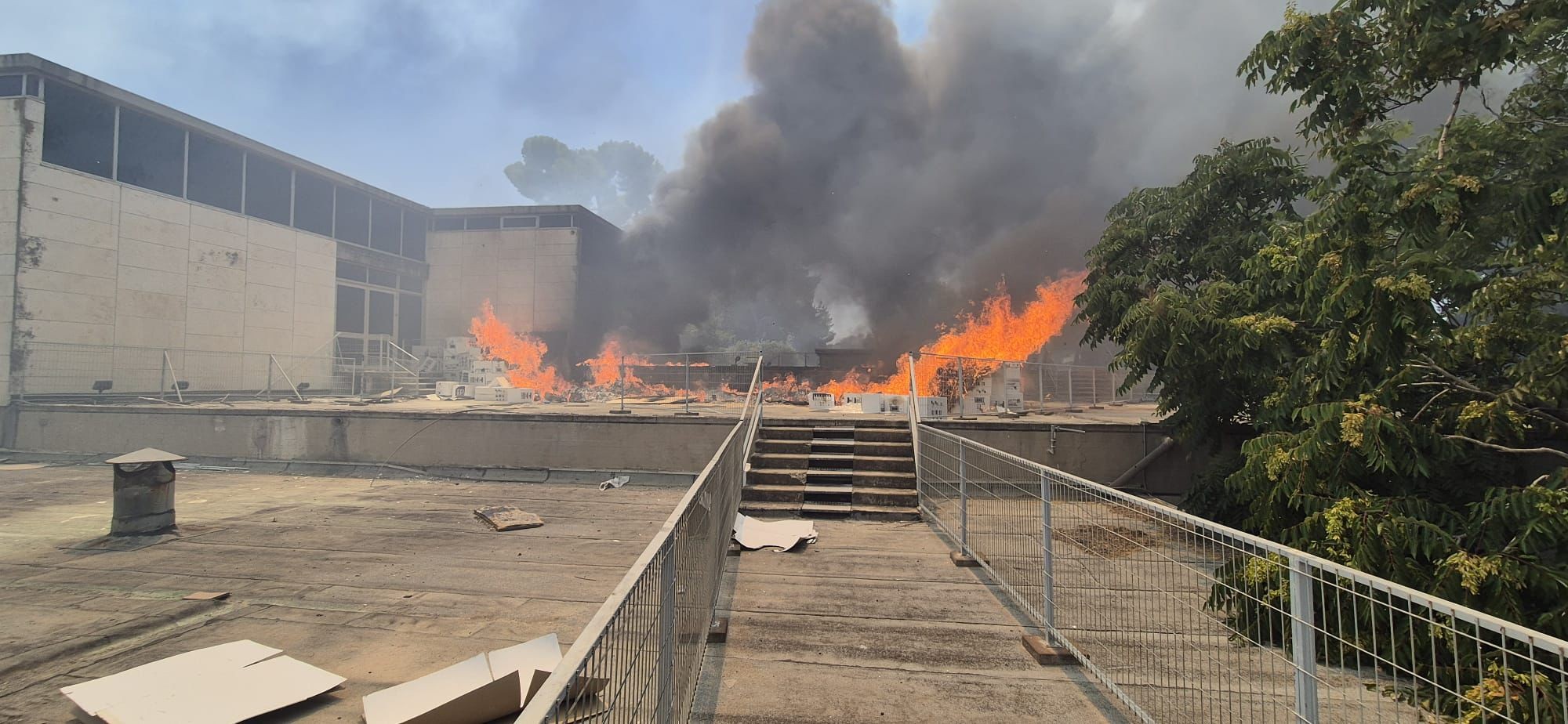 שריפת ענק בירושלים, חשש שהאש תתפשט לשטח מוזיאון ישראל