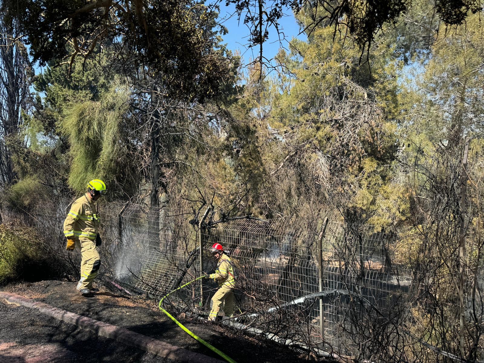 בעקבות שריפת הענק: מוזיאון ישראל פונה ממבקרים