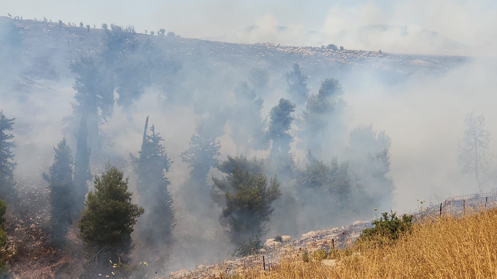 השריפות בצפון בעקבות ירי הרקטות מלבנון | צילום: עובדי ויערני קק״ל
