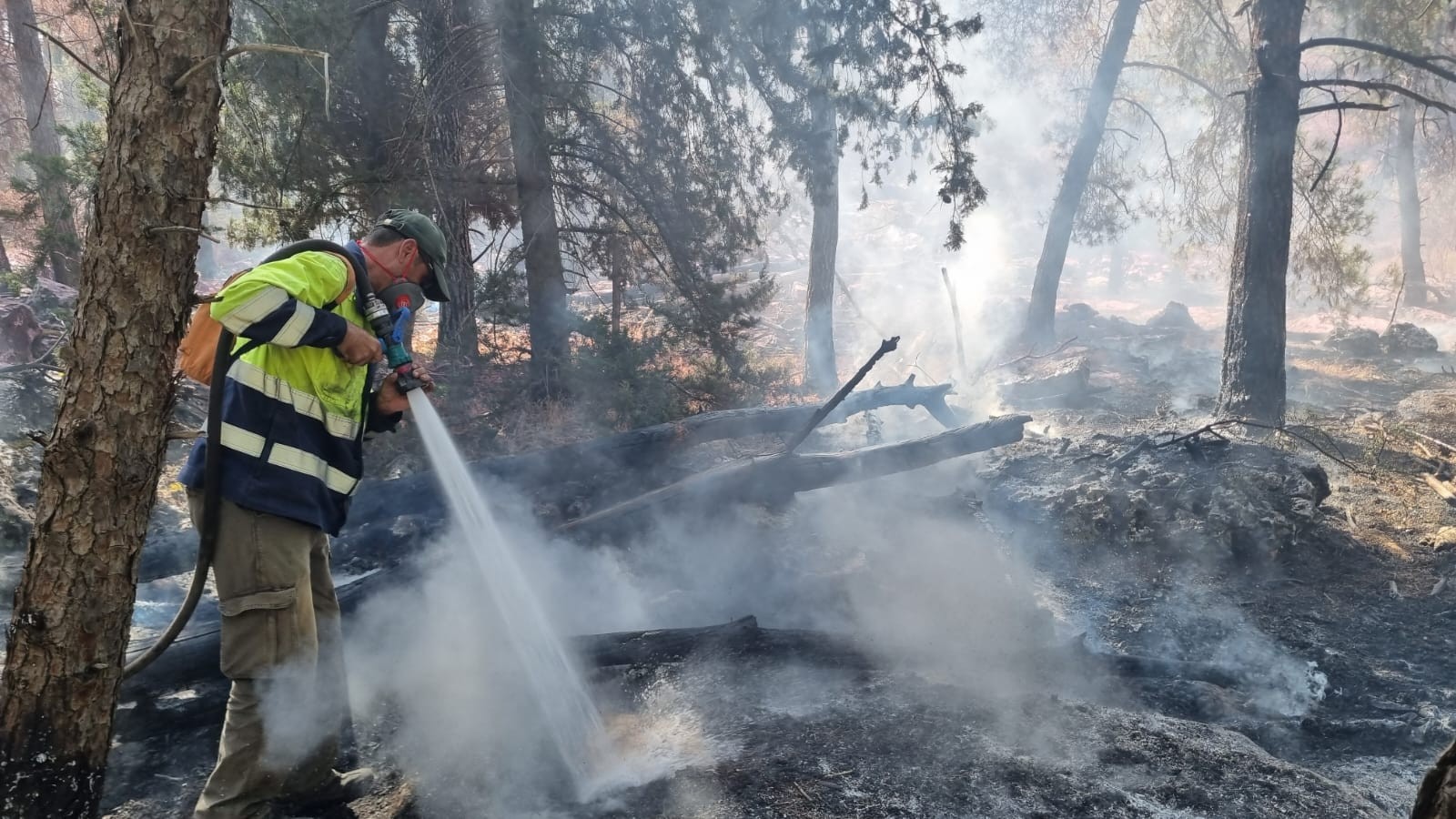 השריפות בצפון. צילום: באדיבות עובדי ויערני קק״ל