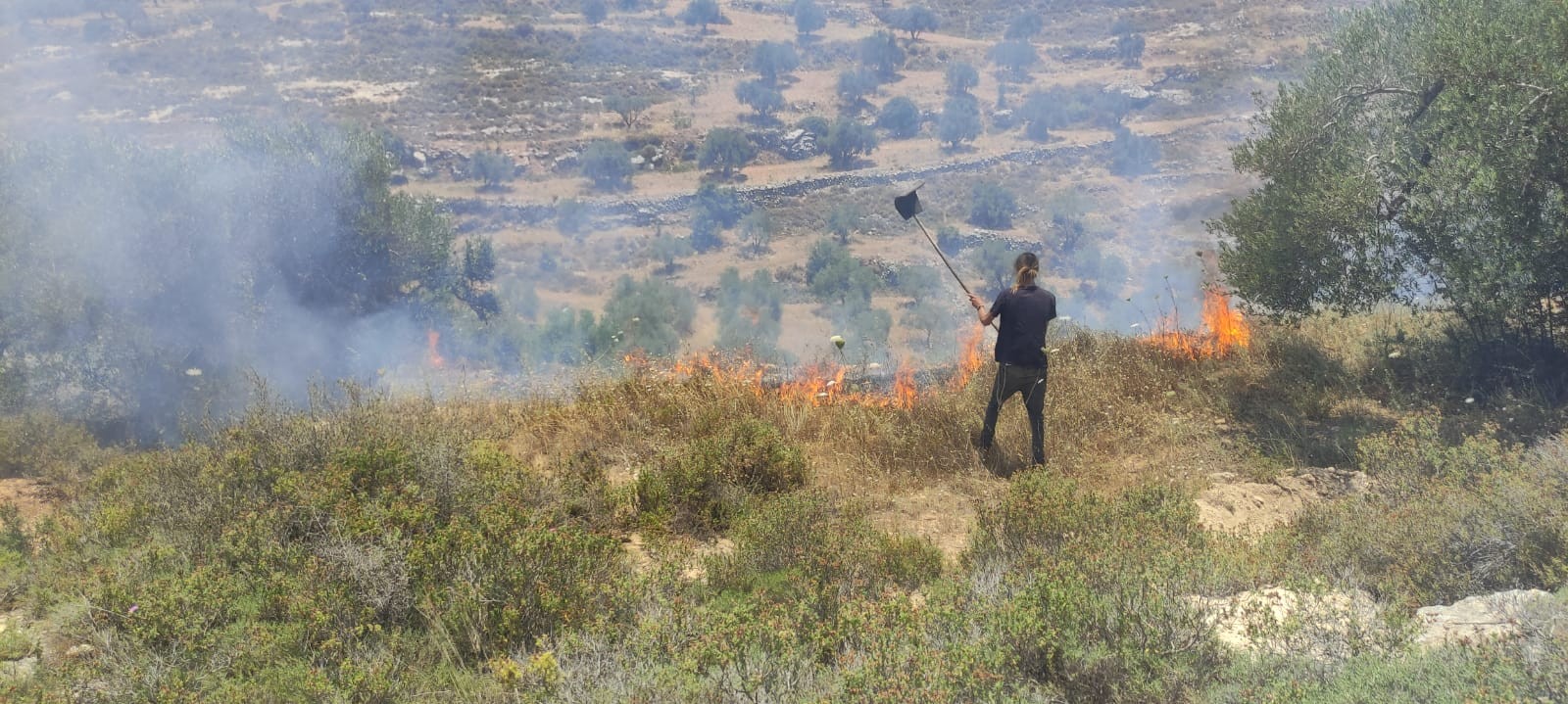 פעם שנייה השבוע: פורעים ערבים מבורקא הציתו שריפה בעוז ציון