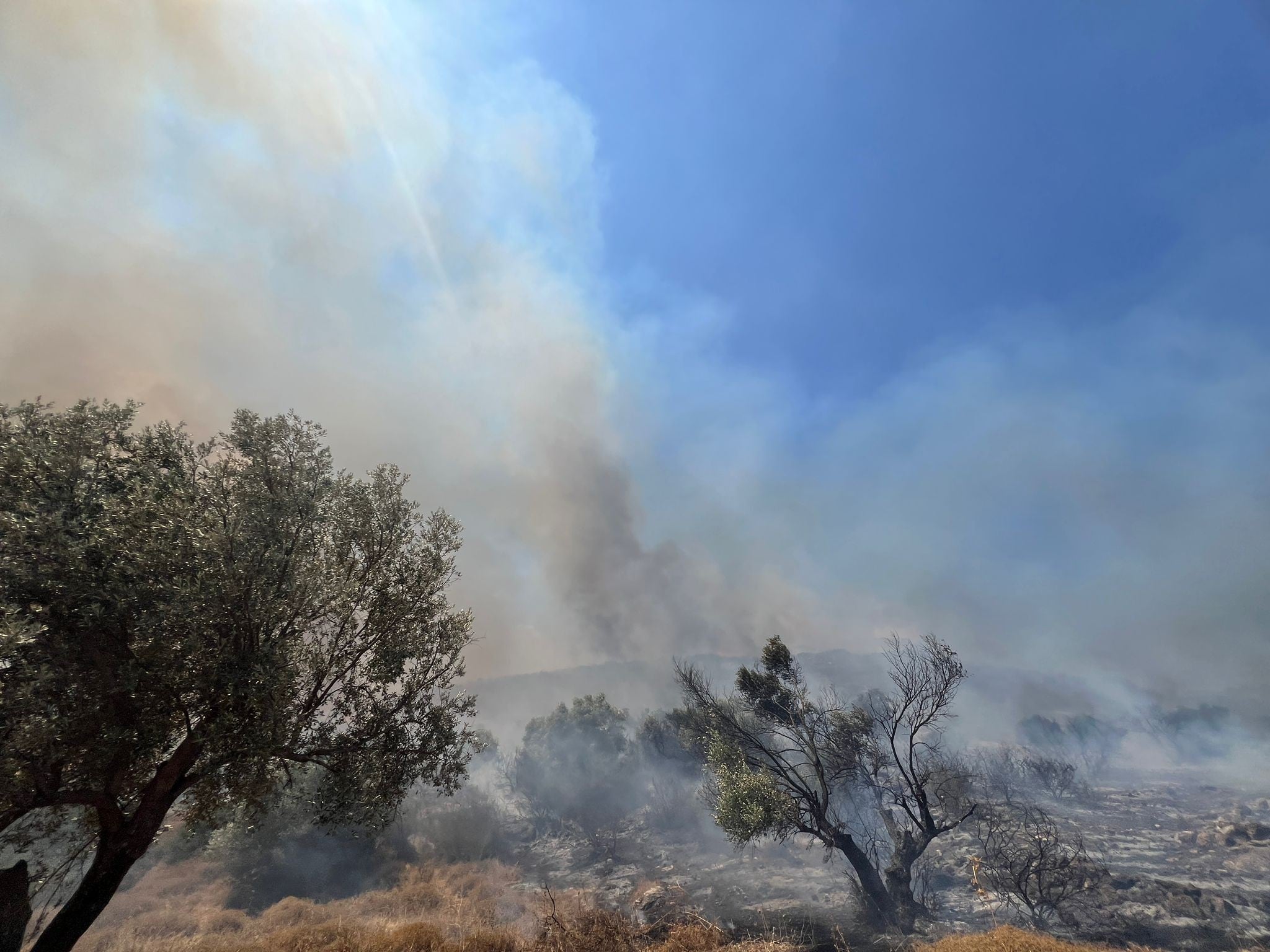 הצפון בוער: מטח שוגר לעבר הגליל המערבי, נפילה במרחב יערה