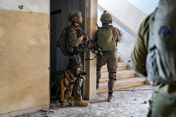 גיבורים על ארבע: אושר חוק לסיוע רפואי לכלבי הביטחון
