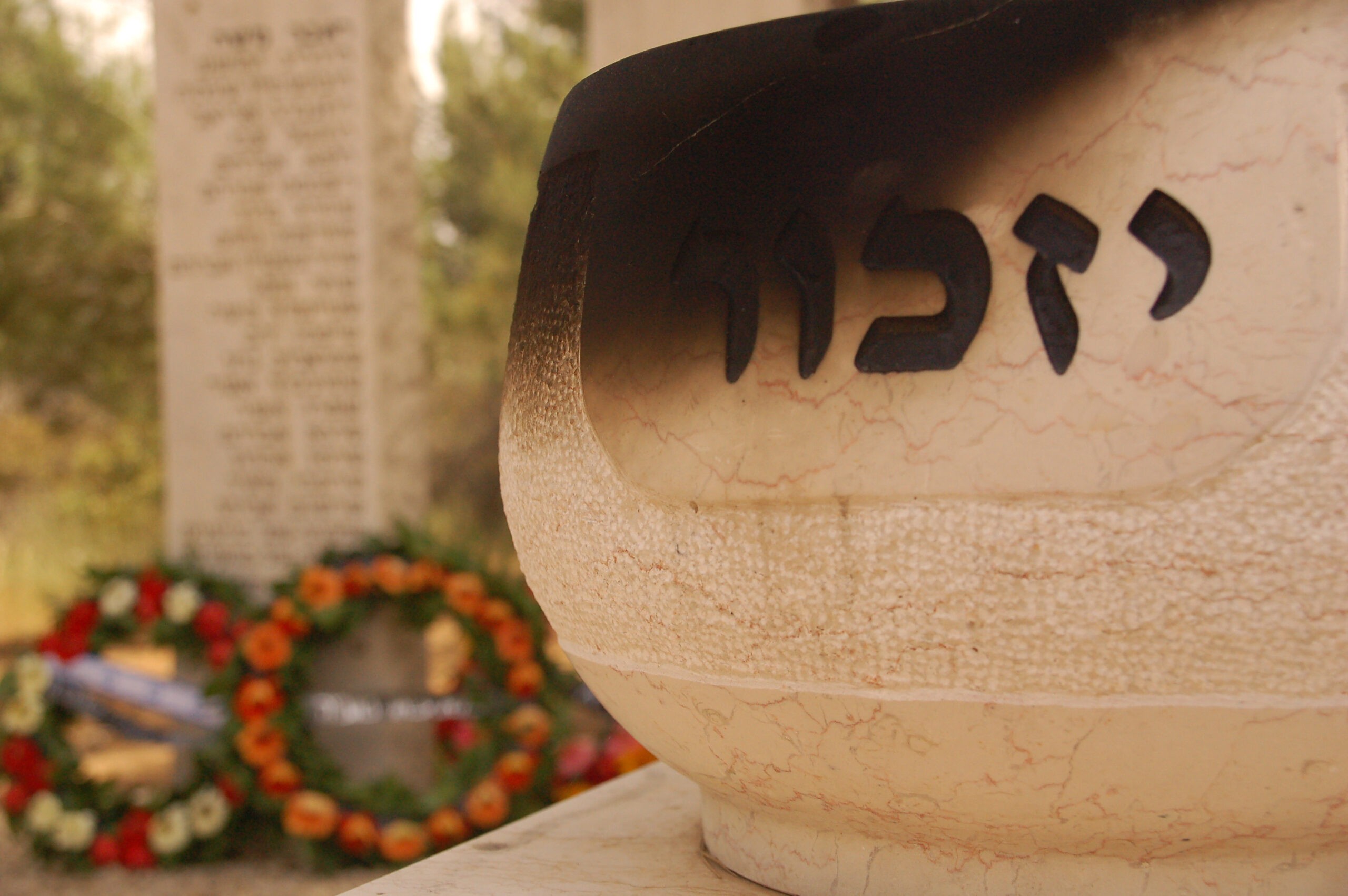 קרדיט: Naomi Golan, שאטרסטוק