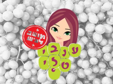 קואופרטיב ענבי טל, מושב לכיש