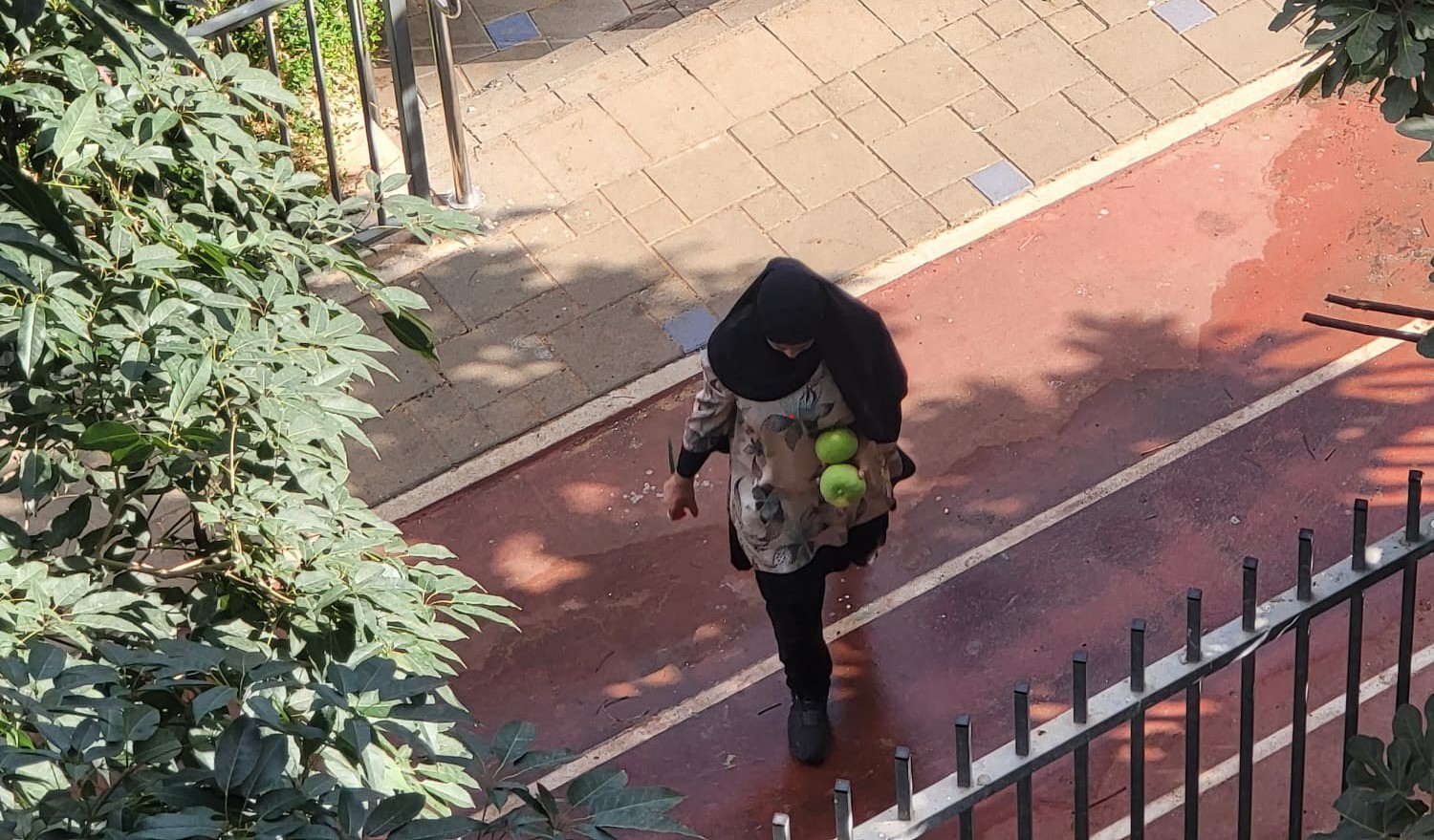 קרדיט: ללא
