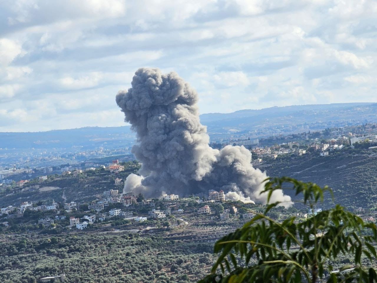 קרדיט: רשתות ערביות